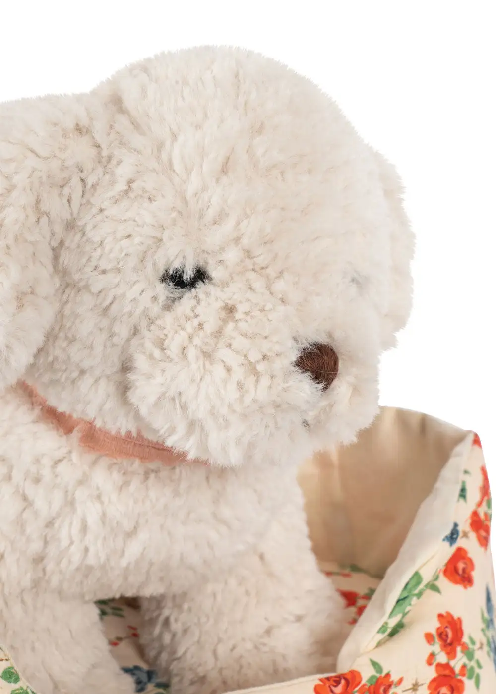 Madeleine Puppy - Image 4