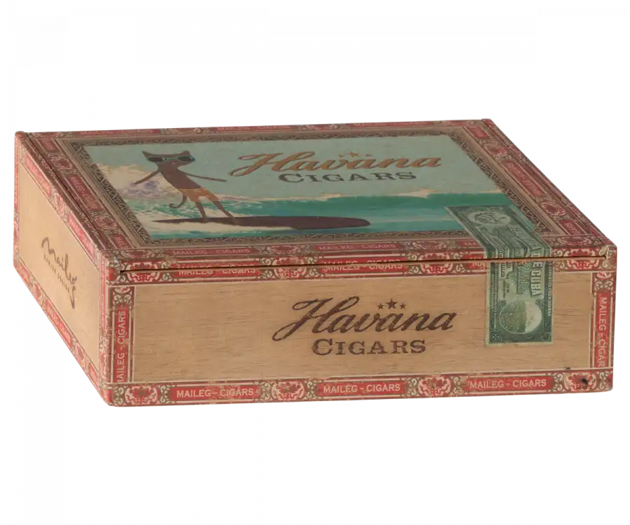 Mamá y papá ratón en caja de cigarro - Imagen 4