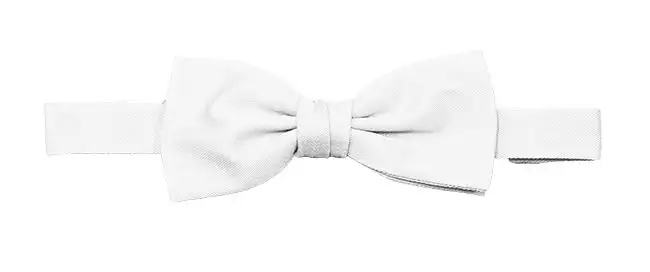 Pajarita blanca