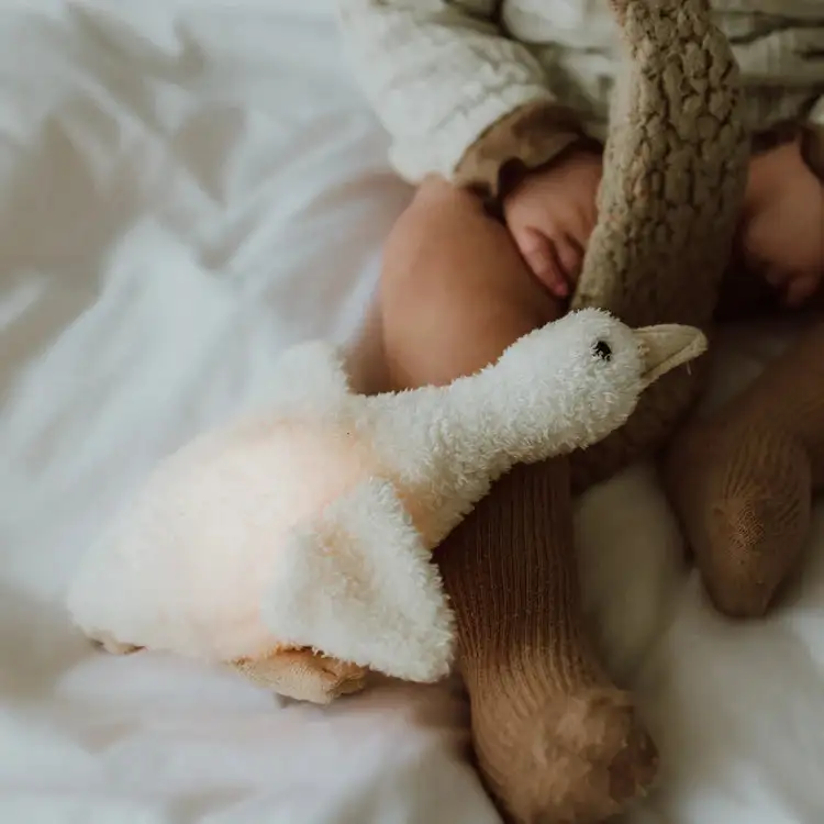 Stuffed Goose Liva Night Light - Image 4