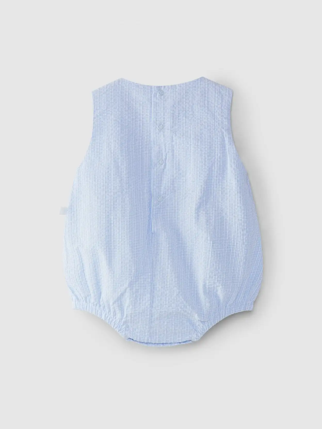 Blue frog with gingham and smocks