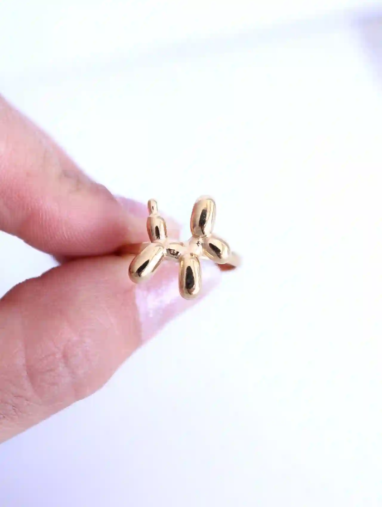 Anillo de globo para perro