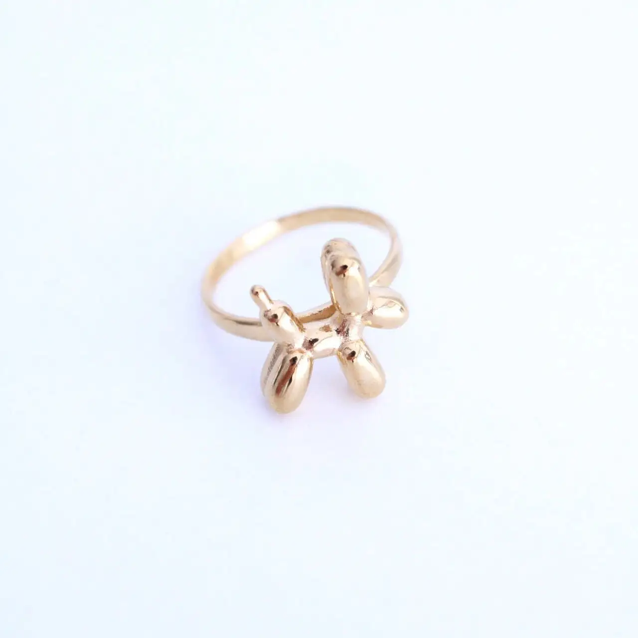 Anillo de globo para perro - Imagen 3