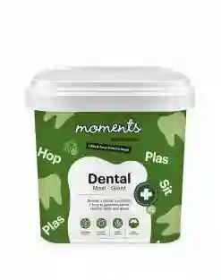 DENTAL MAXI GIANT