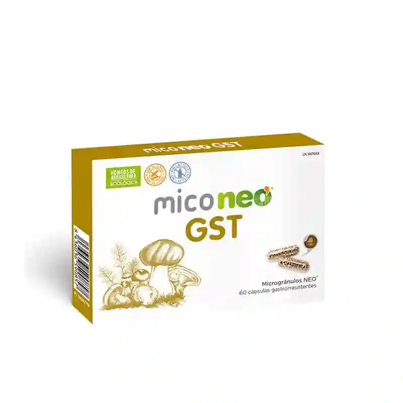 Miconeo GST 60 Cápsulas