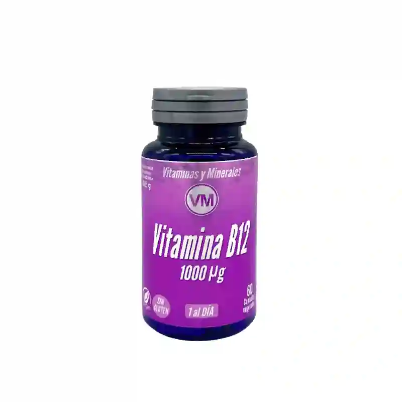 Vitamina B12 Ynsadiet 60 Cápsulas