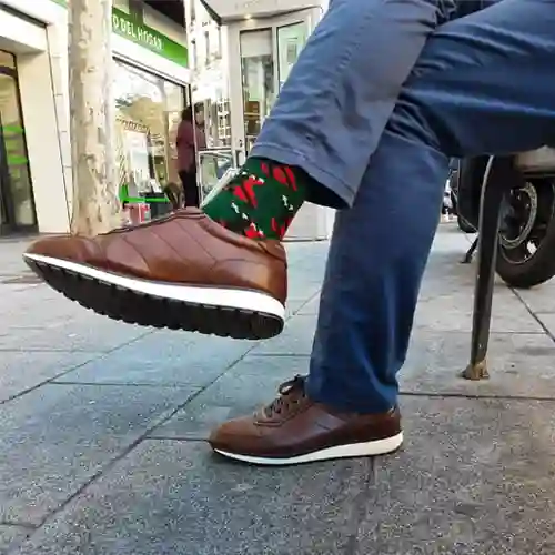 Funny Flamenco Men's socks