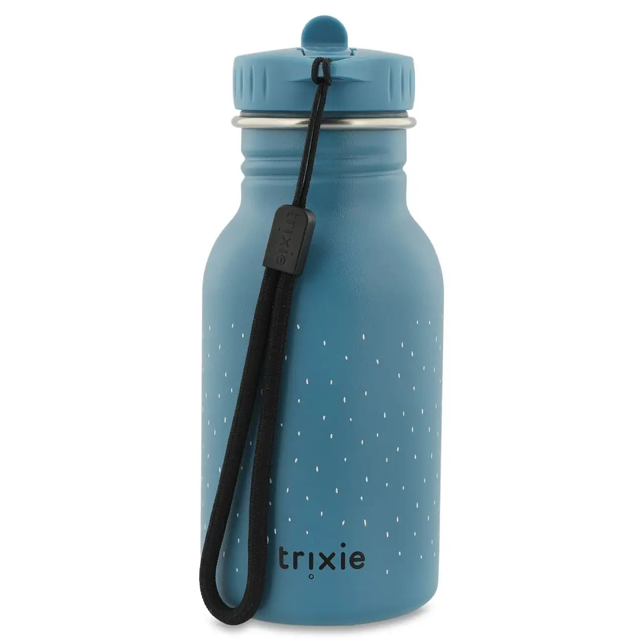 Little Bottle Mr. Triceratops - Image 3