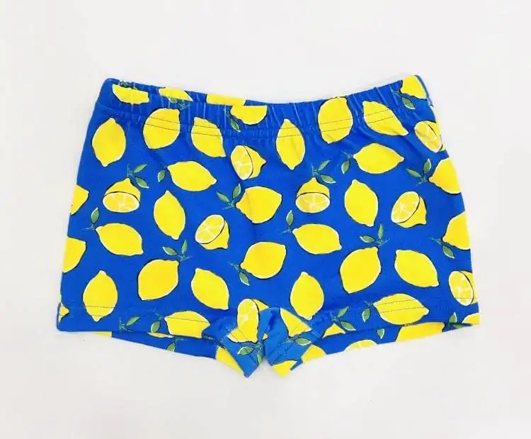 Boxer licra