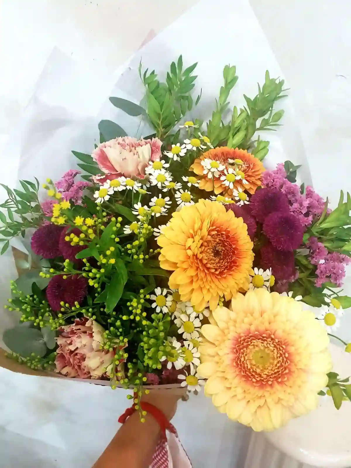 MIXTE GERBERAS Branch