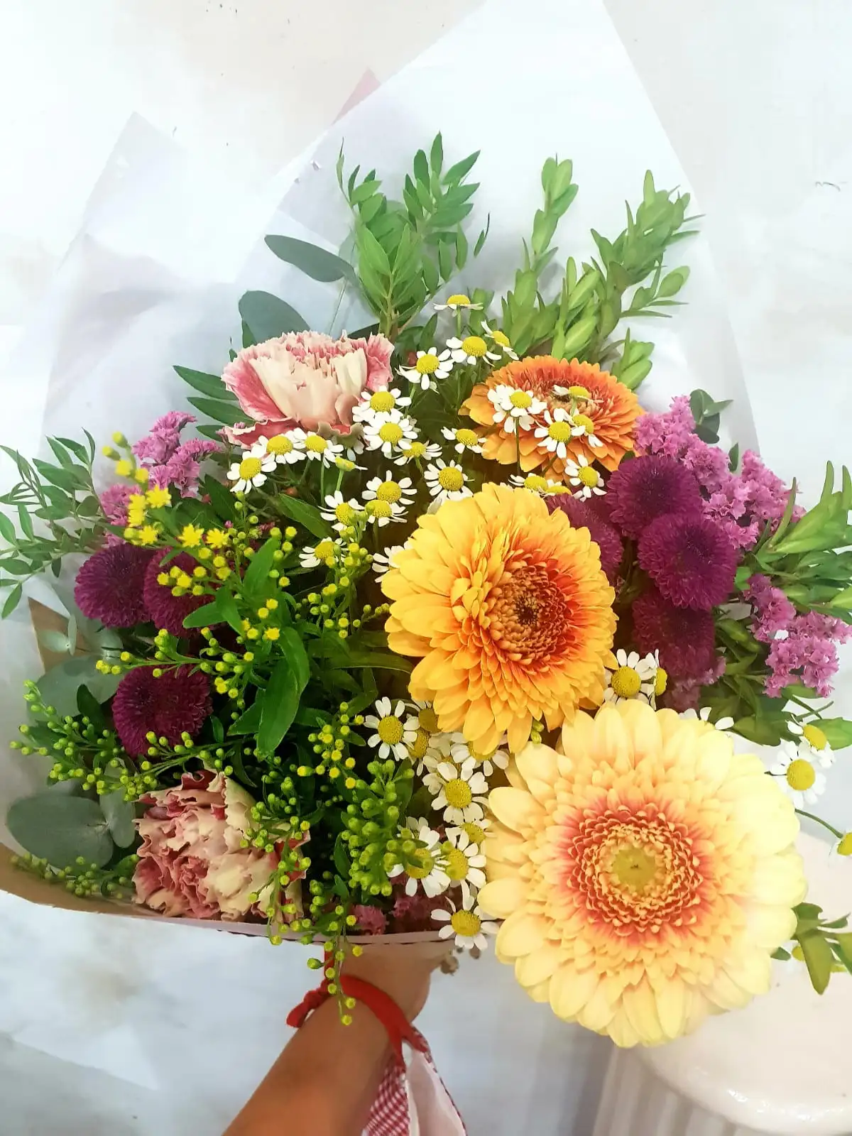 MIXTE GERBERAS Branch