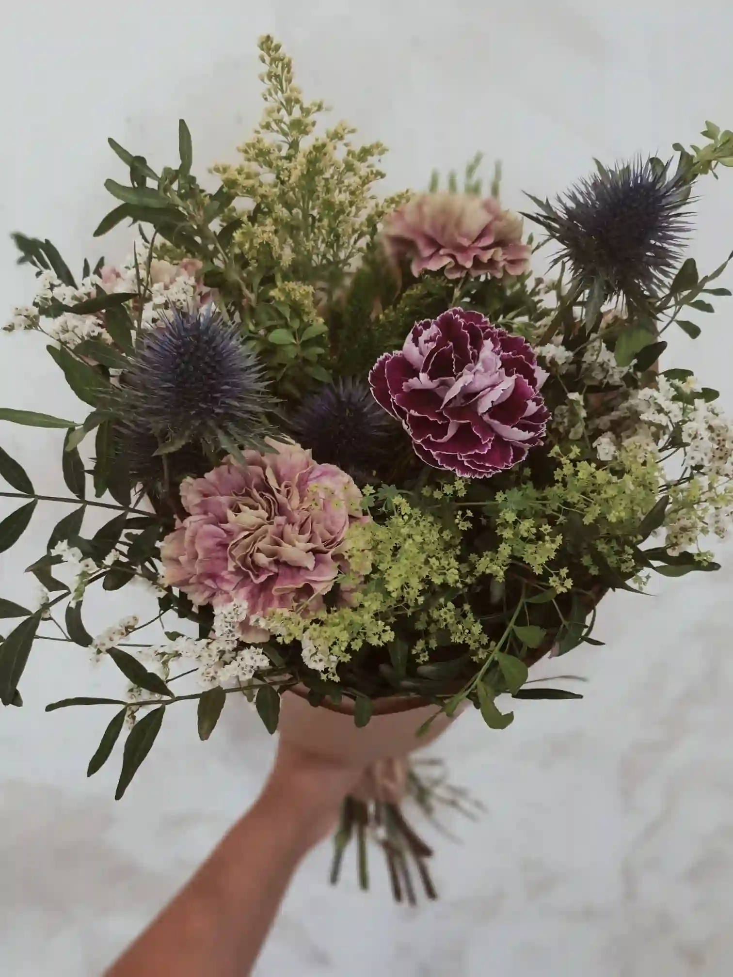 Silvestre of thistles