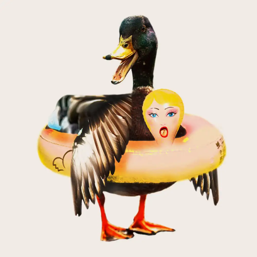 Camiseta NUM Patito flotador - Imagen 3