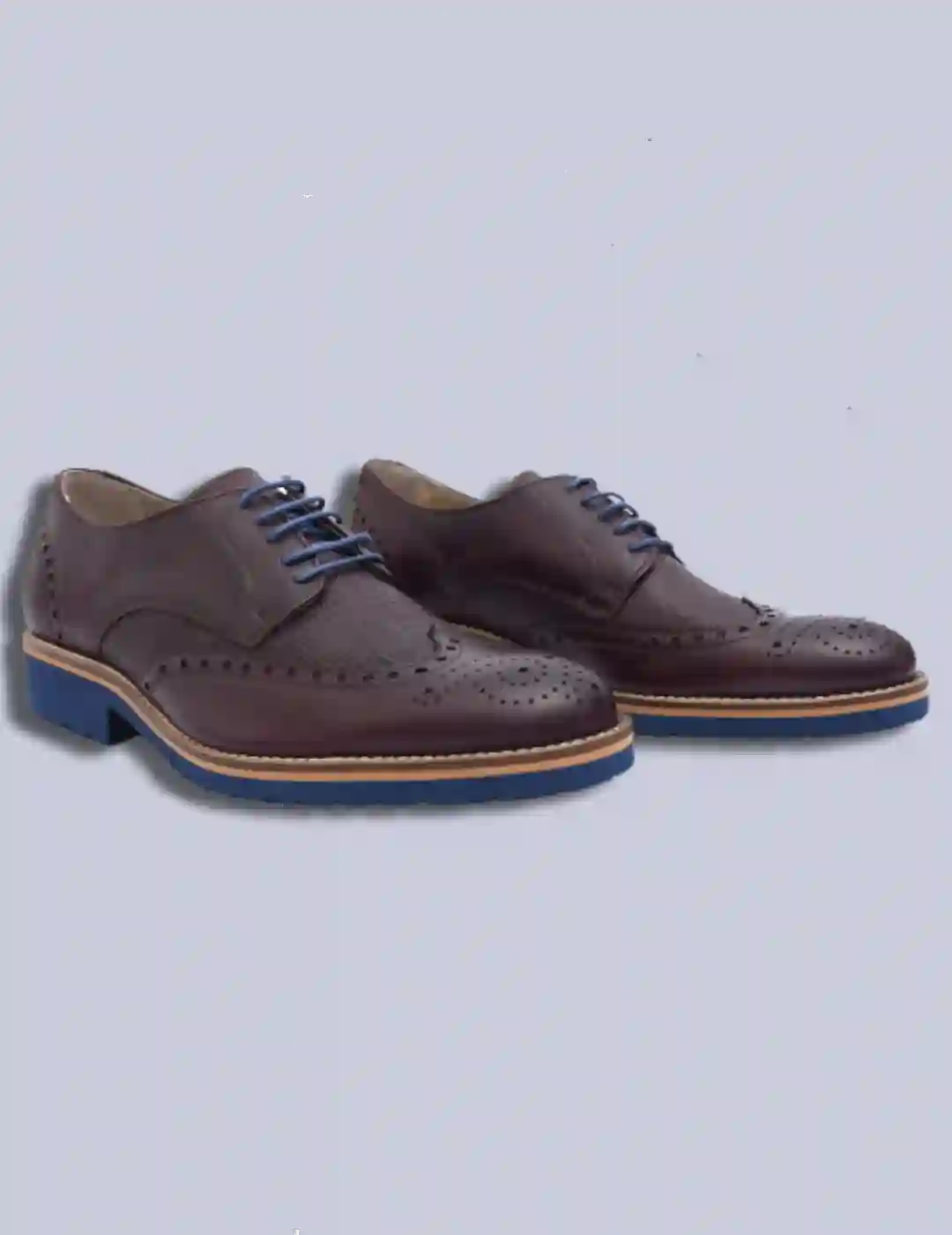 Zapato ingles Baerchi 4402 puntos