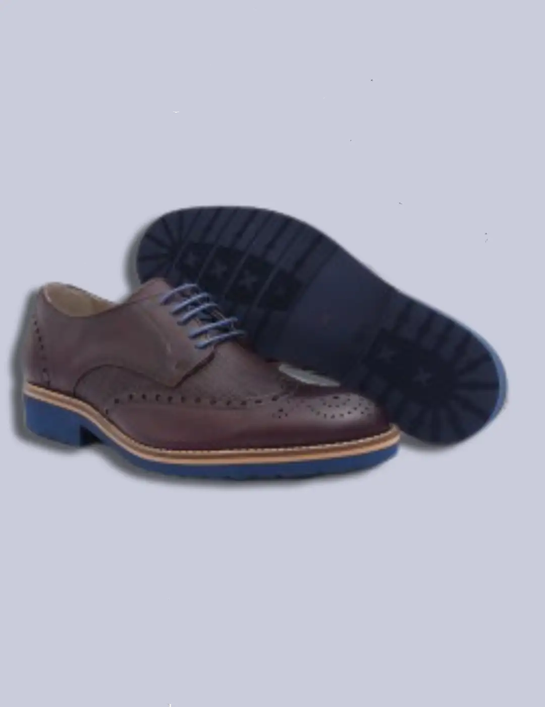 Zapato ingles Baerchi 4402 puntos - Imagen 4