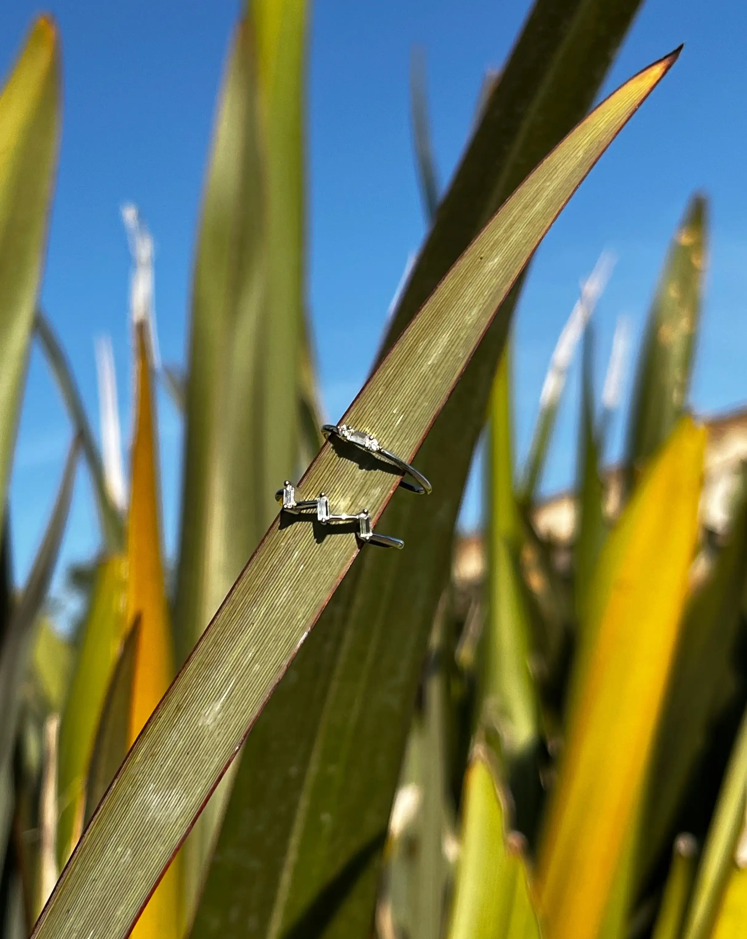 Anillo Belén - Imagen 3