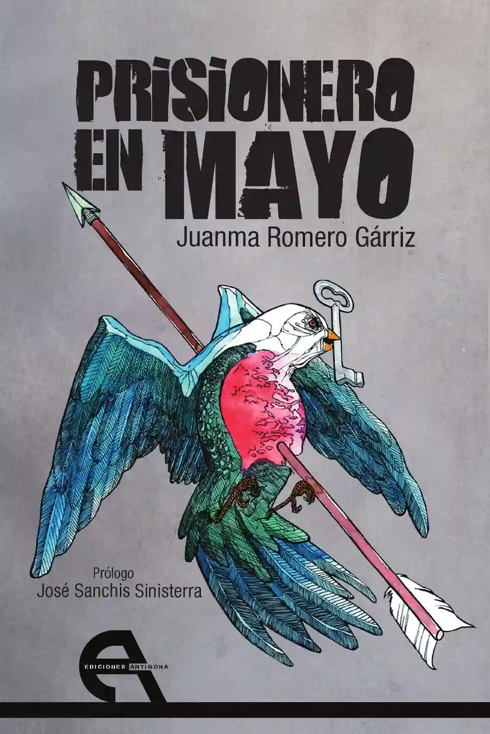 Prisionero en Mayo - Juanma Romero Gárriz