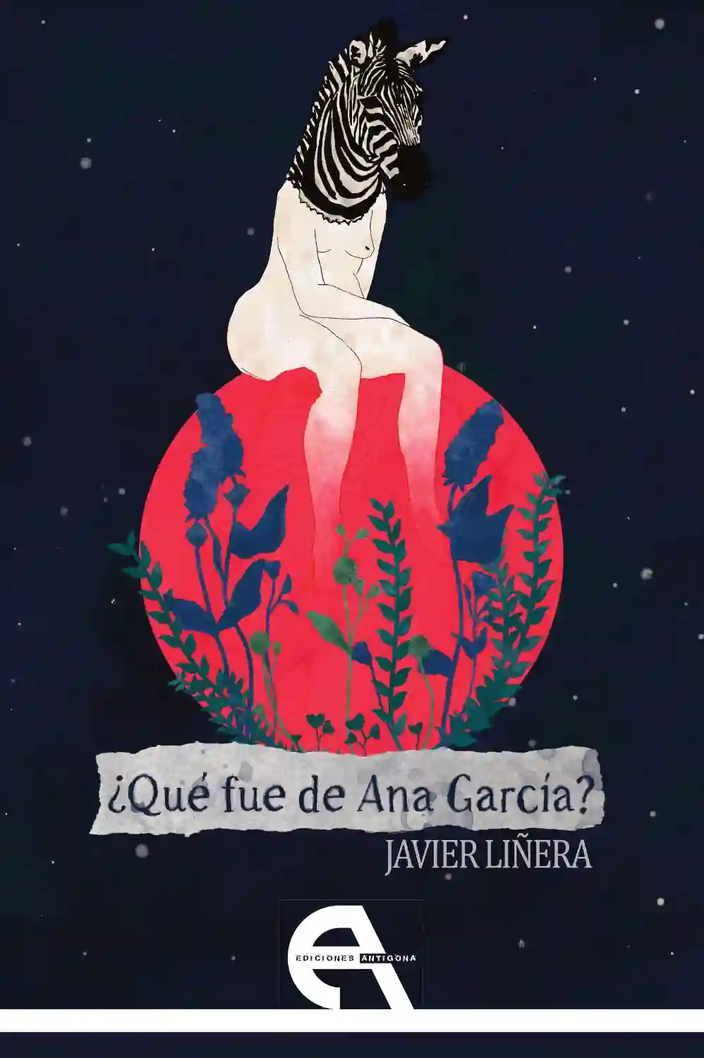 ¿Qué fue de Ana García? - Javier Liñera