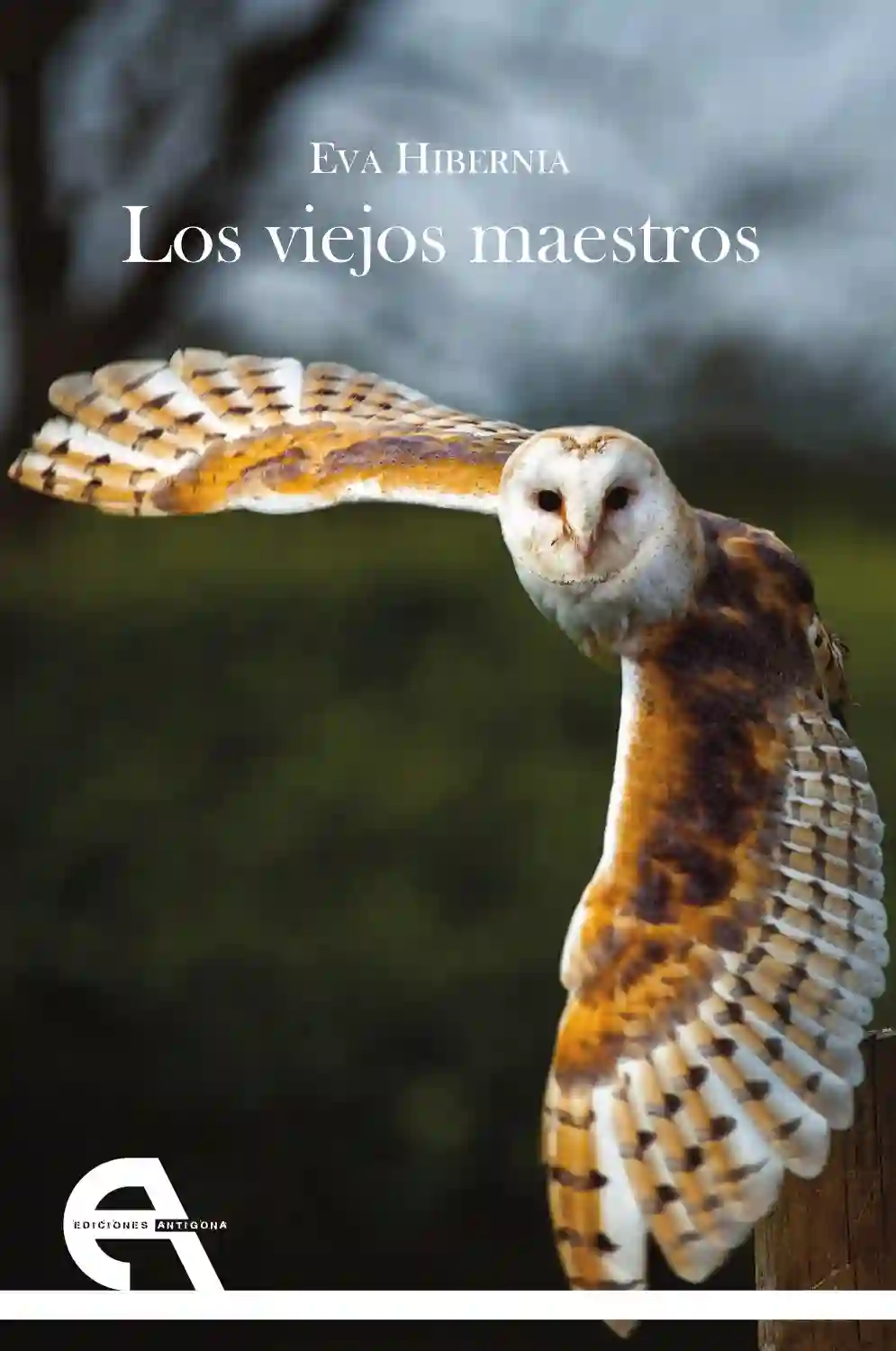 Los Viejos Maestros - Eva Hibernia