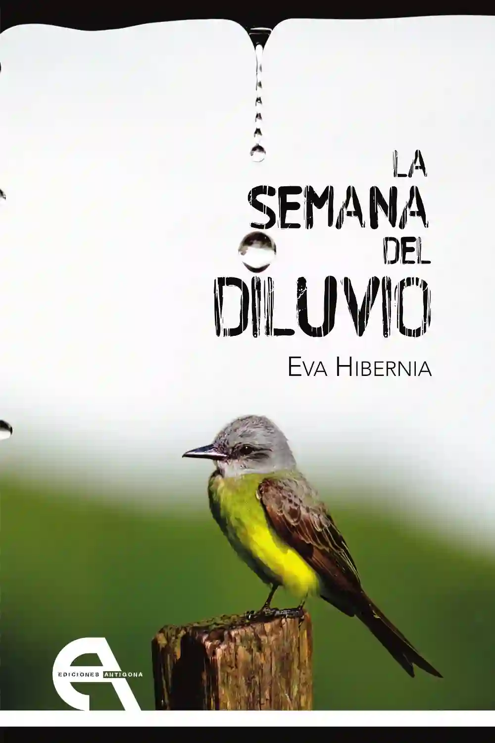 LA SEMANA DEL DILUVIO - Eva Hibernia