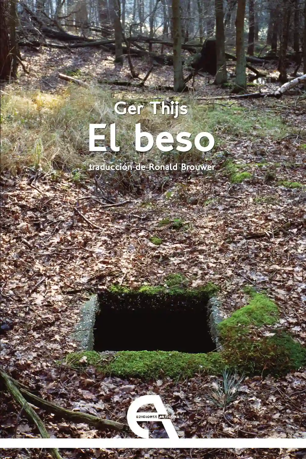 El beso - ger thijs