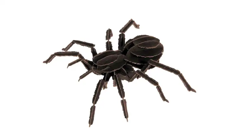 Modelo de papel - Tarántula