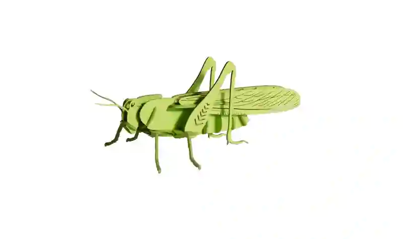 Modelo de papel - Saltamontes