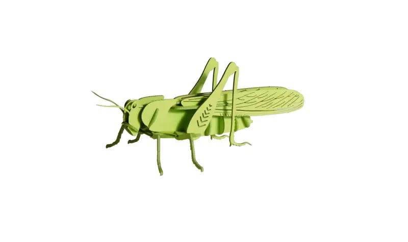 Modelo de papel - Saltamontes