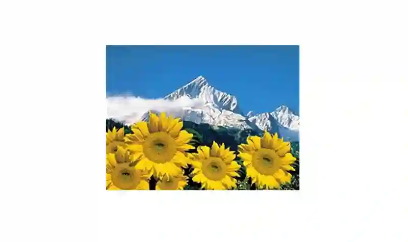 Puzzle 1000 Alpes Bávaros - Ravensburger