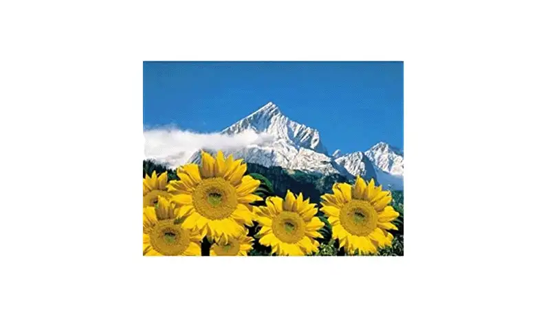 Puzzle 1000 Alpes Bávaros - Ravensburger