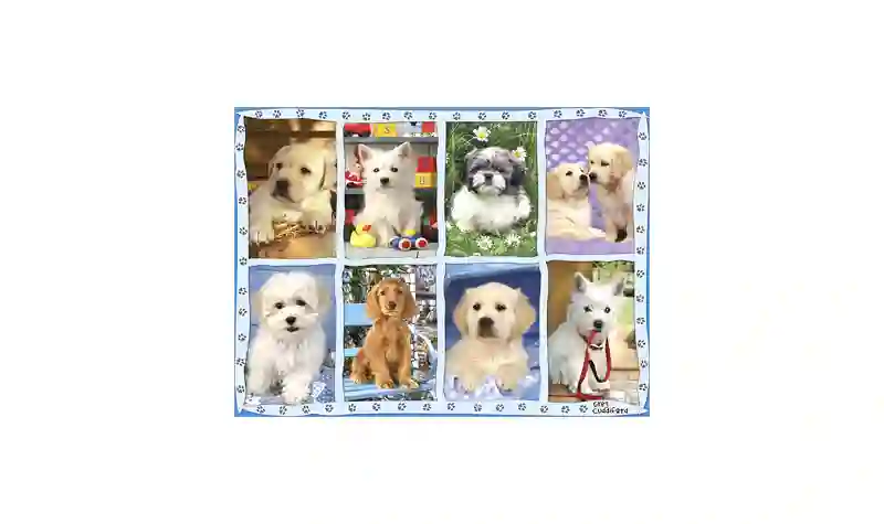 Puzzle 1500 Cachorrillos - Ravensburger