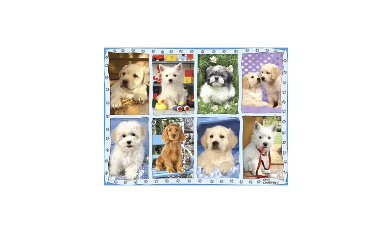 Puzzle 1500 Cachorrillos - Ravensburger