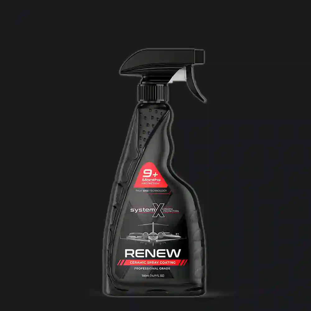 System x Renw - Quick Details Cerámico 240ml