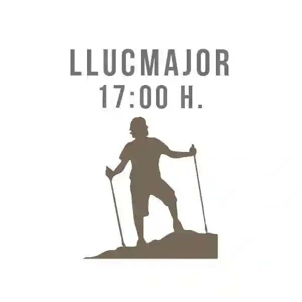 Grupo Llucmajor 17:00h (2 clases semanales)