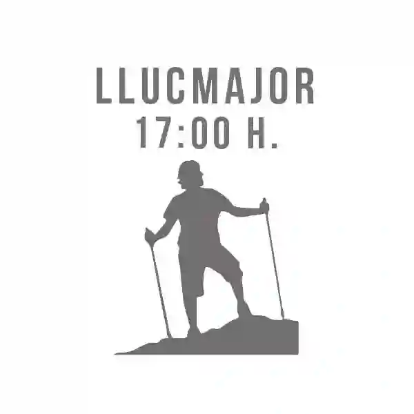 Grupo Llucmajor 17: 00h (1 clase semanal)