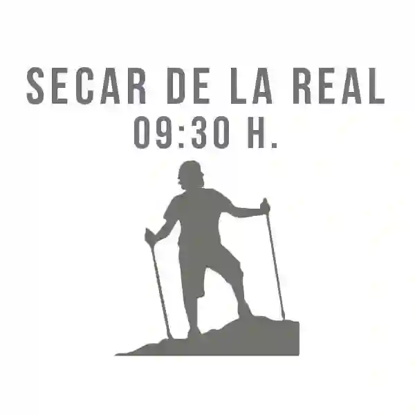 Grupo Secar de la Real 9:30h (1 clase semanal)