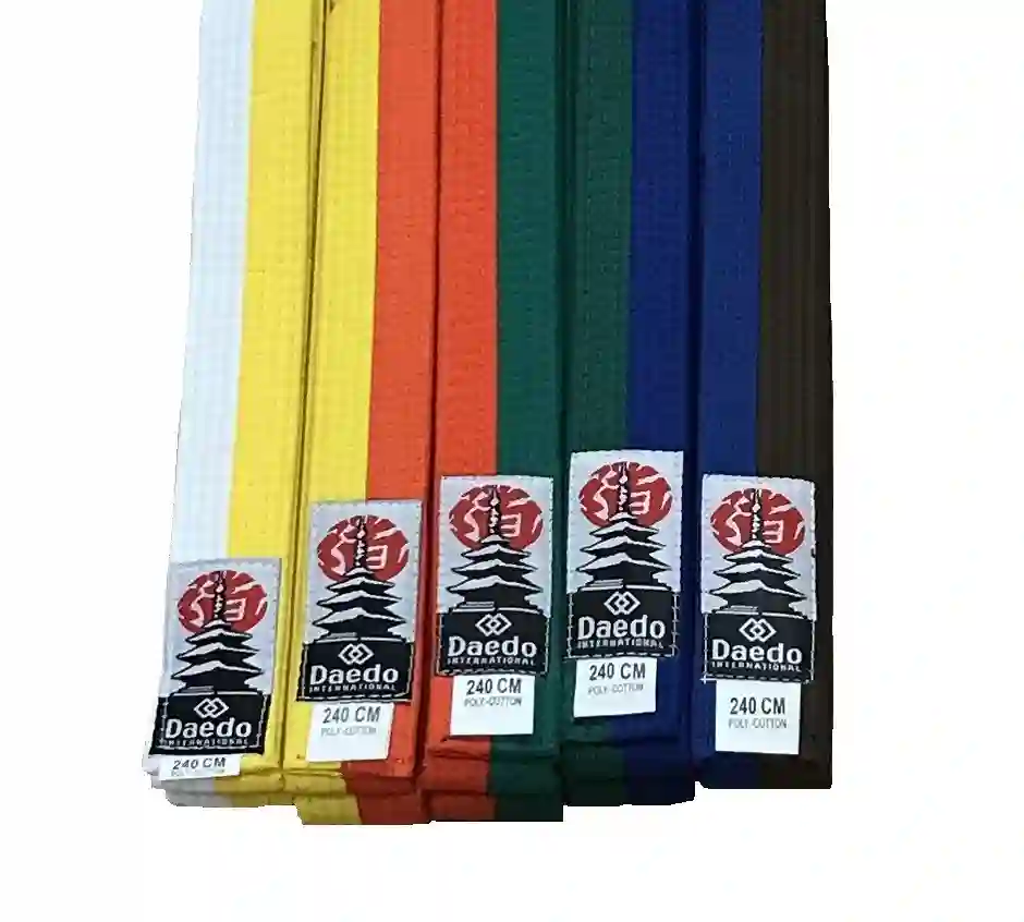Cinturón Daedo 240 cm bicolor