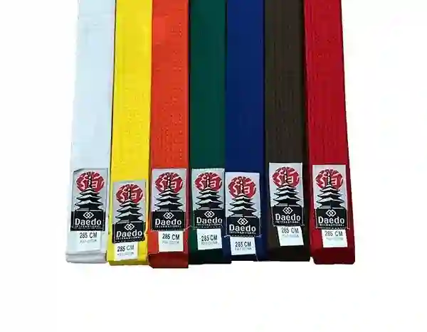 Cinturón Daedo 285 cm Monocolor