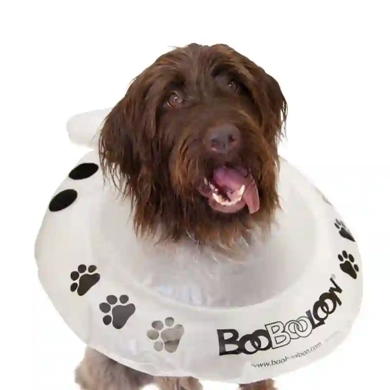 Boobooloon talla l