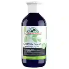Champú Cabellos Negros