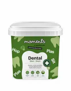 DENTAL MAXI GIANT