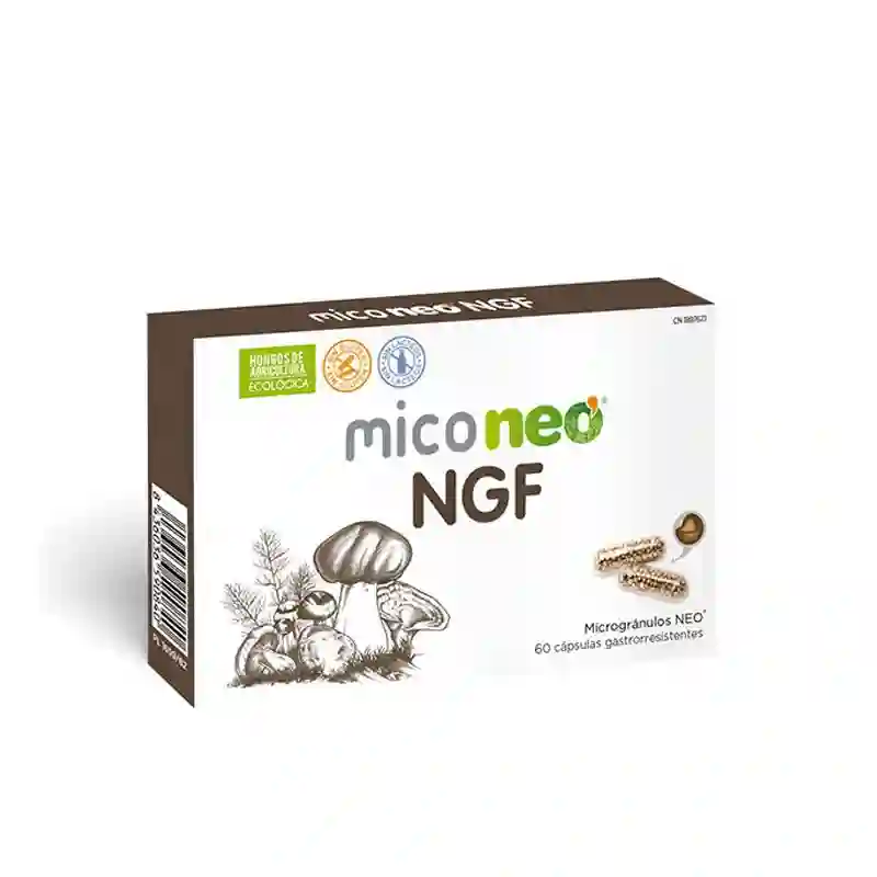 Miconeo NGF 60 Cápsulas