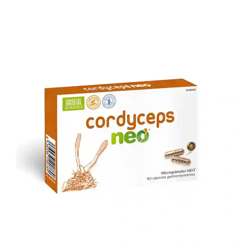 Cordyceps Miconeo 60 cápsulas