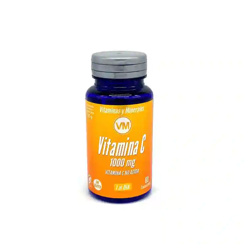 Vitamina C 1000 mg. No ácida ynsadiet 60 cápsulas