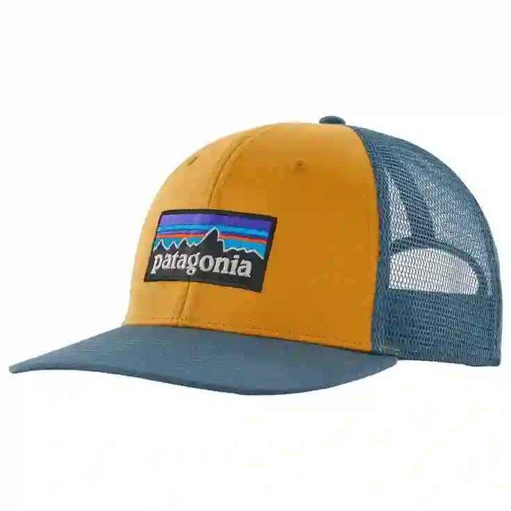 Gorra Patagonia P-6 LOGO Trucker