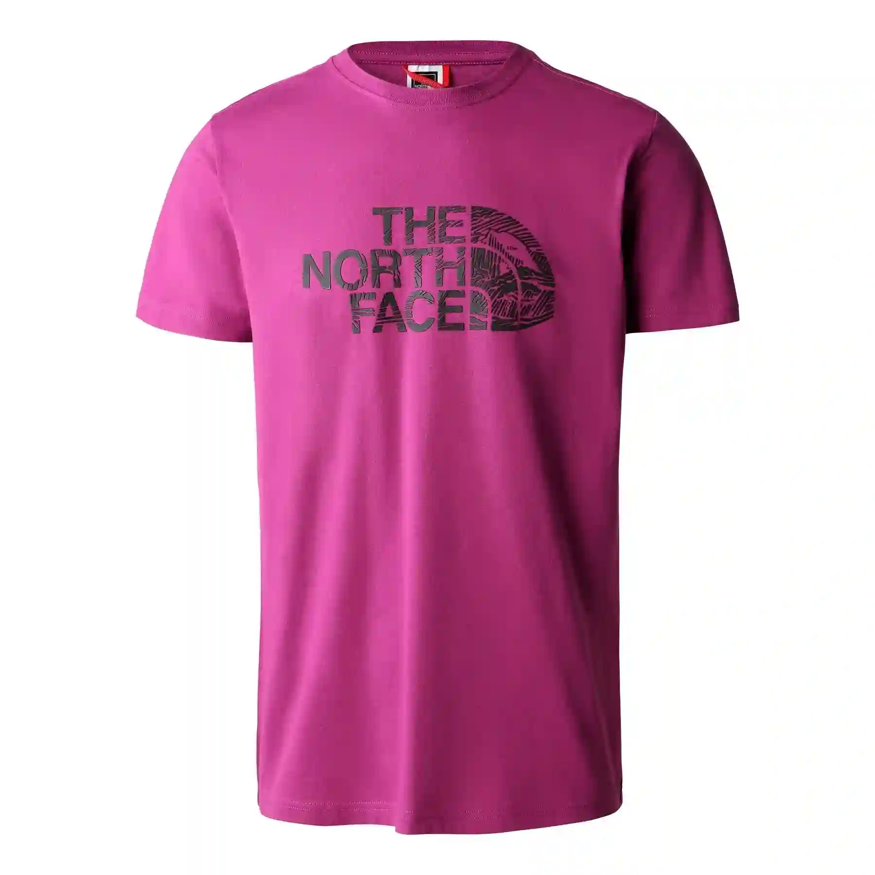 Camiseta Manga Corta The North Face Woodcut Dome