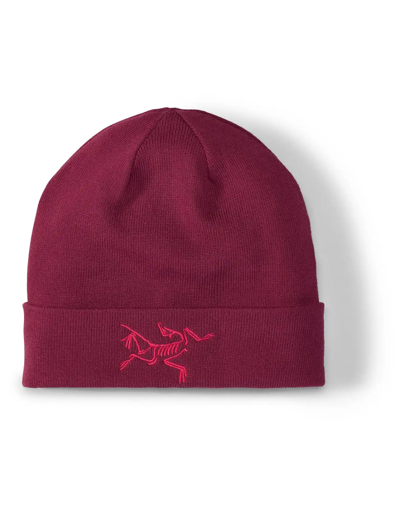 Pájaro bordado de Gorro Arc'teryx