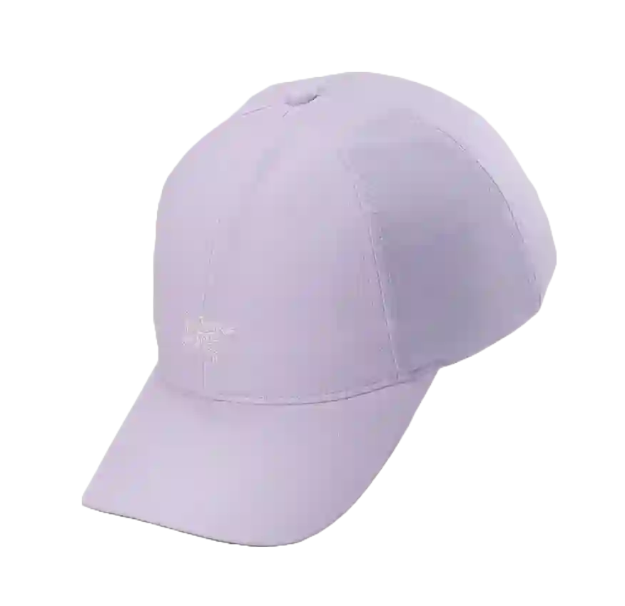Gorra Arc'teryx pequeño pájaro
