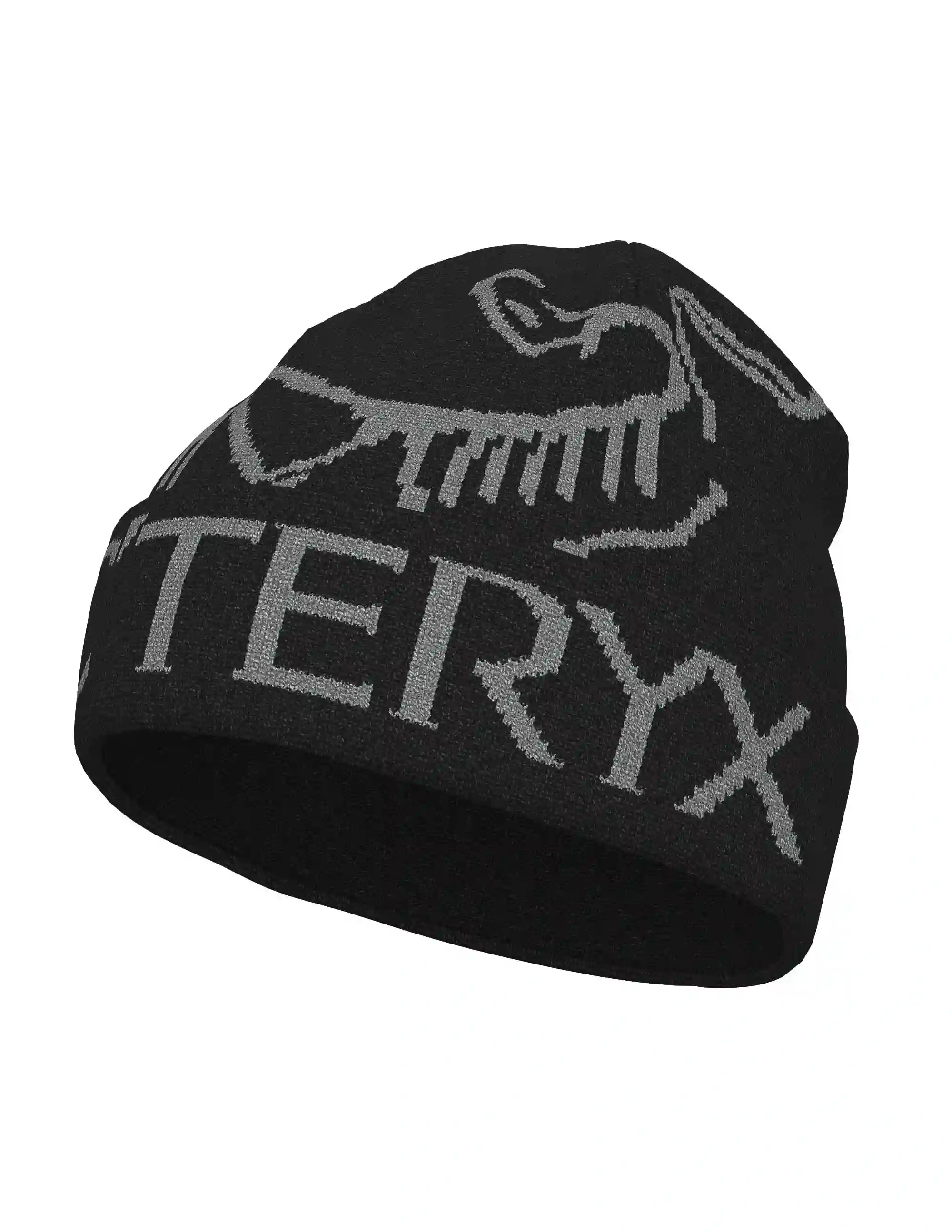 Gorro Arc'teryx Bird Word Toque