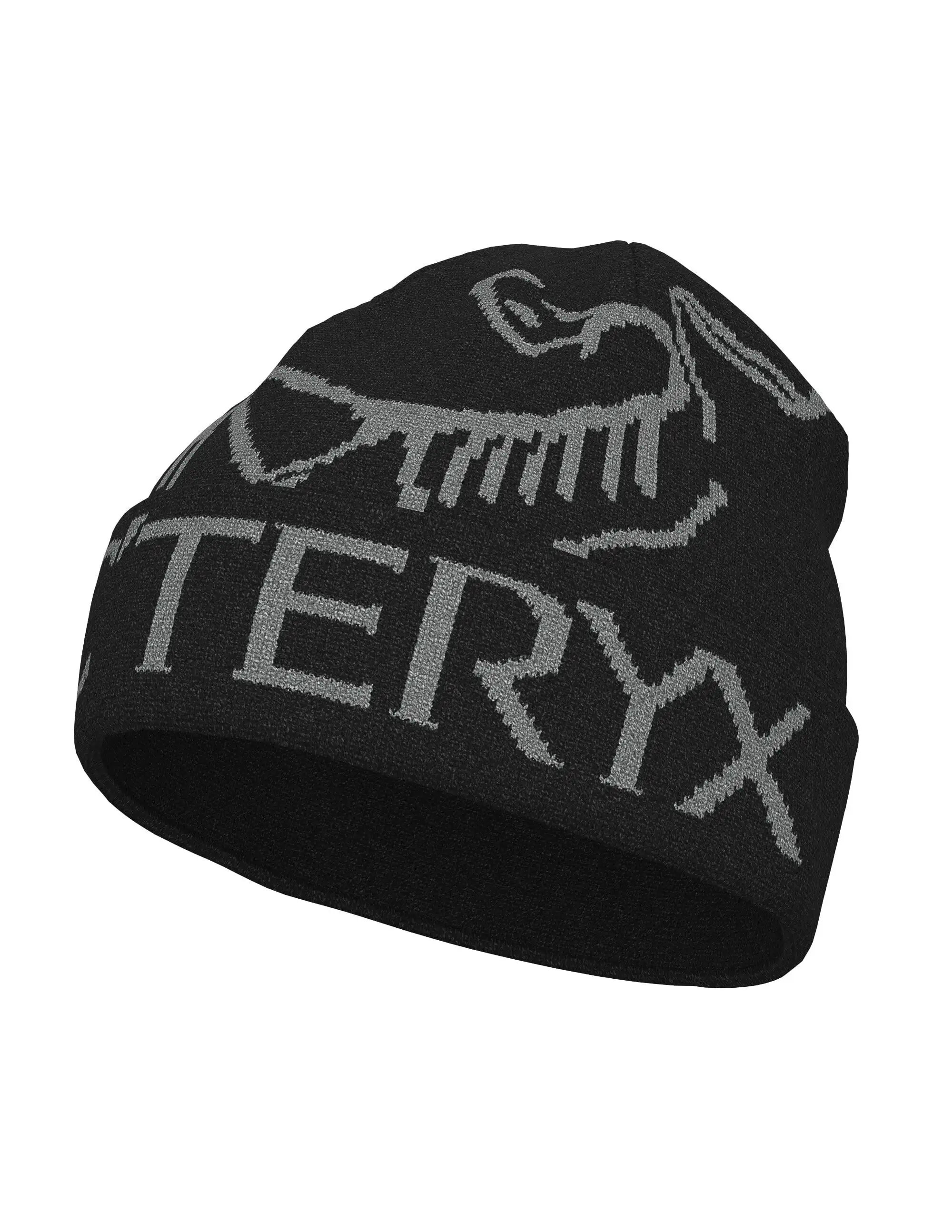 Gorro Arc'teryx Bird Word Toque